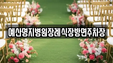 충남 예산군 신암면 웨딩컨설팅,웨딩메이크업,웨딩드레스,웨딩박람회,스드메,예식장 최신 1업체