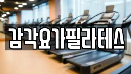 감각요가필라테스