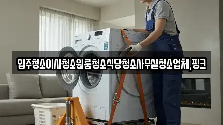 입주청소이사청소원룸청소식당청소사무실청소업체,핑크