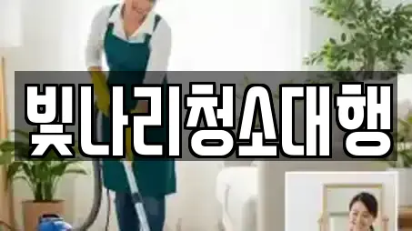 빛나리청소대행