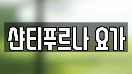 샨티푸르나 요가