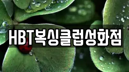 HBT복싱클럽성화점