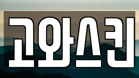 고와스킨