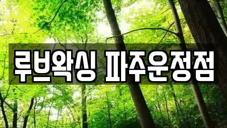루브왁싱 파주운정점