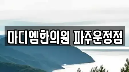 마디엠한의원 파주운정점