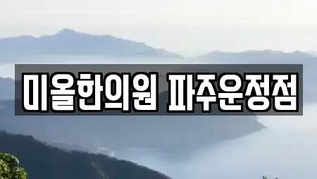미올한의원 파주운정점