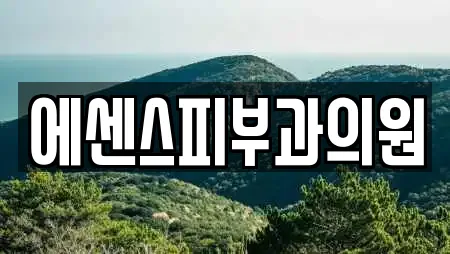 에센스피부과의원