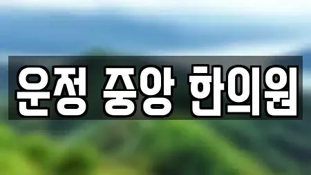 운정 중앙 한의원