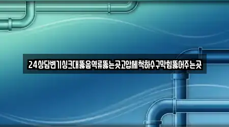 24상담변기싱크대뚫음역류뚫는곳고압세척하수구막힘뚫어주는곳