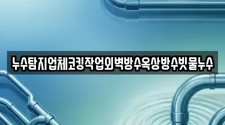 누수탐지업체코킹작업외벽방수옥상방수빗물누수
