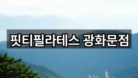 핏티필라테스 광화문점