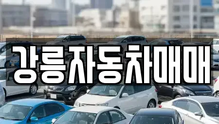 강원 강릉시 박월동 중고차 전문 강릉자동차매매