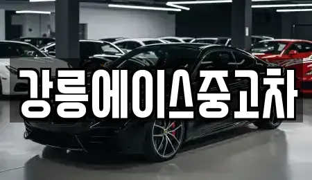강원 강릉시 중고차 전문 강릉에이스중고차