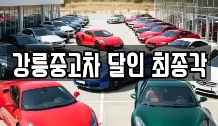강원 강릉시 중고차 전문 강릉중고차 달인 최종각