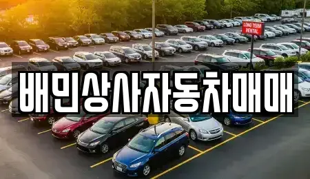강원 강릉시 중고차 전문 배민상사자동차매매