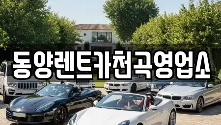 강원 동해시 구호동 렌트카 전문 동양렌트카천곡영업소