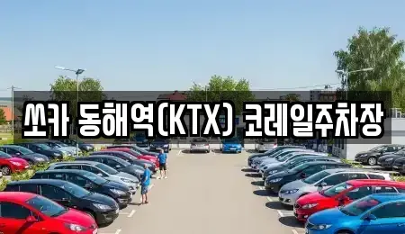 강원 동해시 구호동 렌트카 전문 쏘카 동해역(KTX) 코레일주차장
