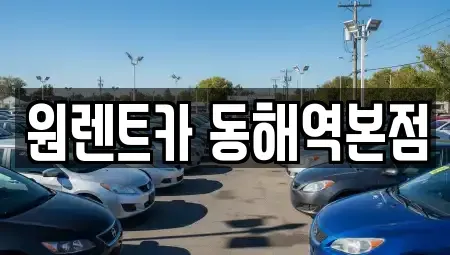 강원 동해시 구호동 렌트카 전문 원렌트카 동해역본점