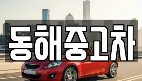강원 동해시 구호동 중고차매매 전문 동해중고차