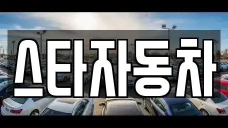 강원 동해시 구호동 중고차매매 전문 스타자동차