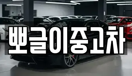 강원 동해시 단봉동 중고차매매 전문 뽀글이중고차