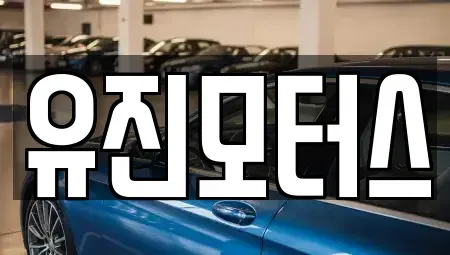 강원 동해시 단봉동 중고차매매 전문 유진모터스