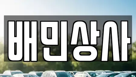 강원 삼척시 원덕읍 중고차매매,단기렌트카,중고차매입,장기렌트카,중고차,렌트카
