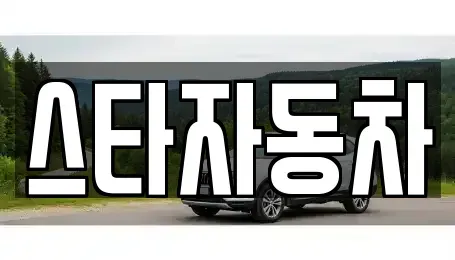 강원 삼척시 중고차매매 전문 스타자동차