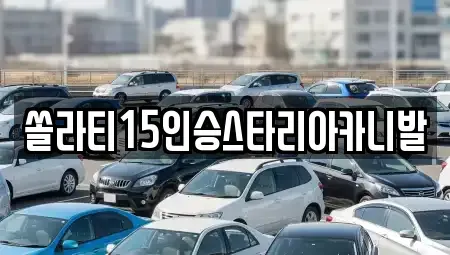 강원 원주시 봉산동 렌트카 전문 쏠라티15인승스타리아카니발
