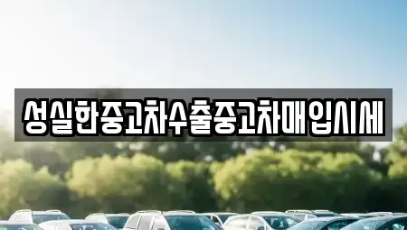 강원 원주시 행구동 중고차매입 전문 성실한중고차수출중고차매입시세