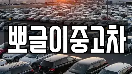 강원 정선군 남면 중고차 전문 뽀글이중고차