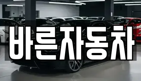 강원 춘천시 신동면 중고차매매 전문 바른자동차