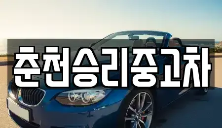 강원 춘천시 신동면 중고차매매 전문 춘천승리중고차
