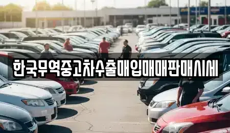 강원 춘천시 신동면 중고차매입 전문 한국무역중고차수출매입매매판매시세