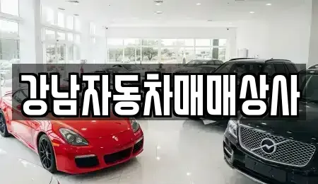 강원 홍천군 화촌면 중고차매매 전문 강남자동차매매상사