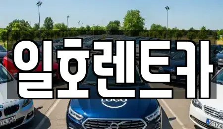 강원특별자치도 고성군 토성면 렌트카 전문 일호렌트카