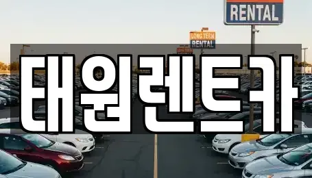 강원특별자치도 고성군 토성면 렌트카 전문 태원렌트카