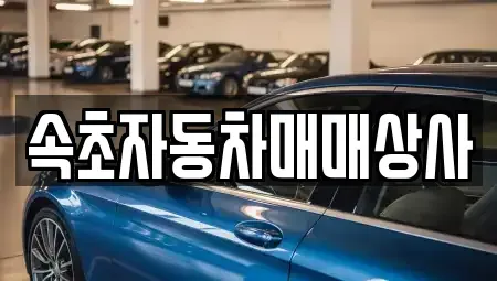 강원특별자치도 고성군 토성면 중고차매매 전문 속초자동차매매상사