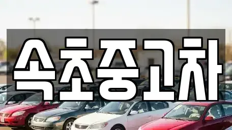 강원특별자치도 고성군 토성면 중고차매매 전문 속초중고차