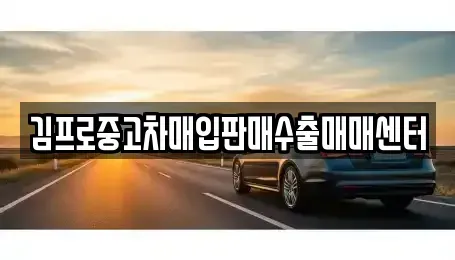 강원특별자치도 고성군 토성면 중고차매입 전문 김프로중고차매입판매수출매매센터