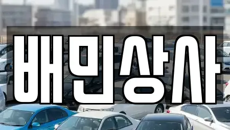 강원특별자치도 삼척시 증산동 중고차 전문 배민상사
