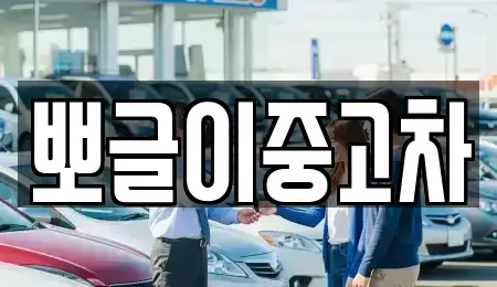 강원특별자치도 삼척시 평전동 중고차매매 전문 뽀글이중고차