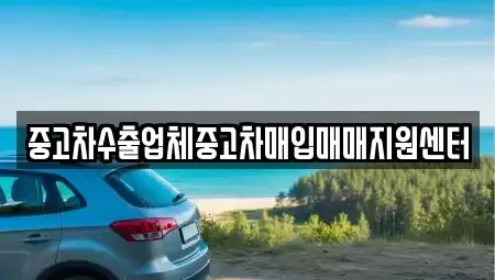 강원특별자치도 속초시 금호동 중고차 전문 중고차수출업체중고차매입매매지원센터