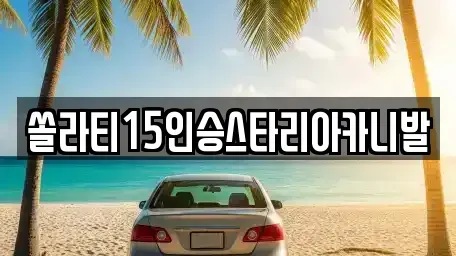 강원특별자치도 원주시 명륜동 렌트카 전문 쏠라티15인승스타리아카니발