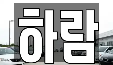 강원특별자치도 원주시 명륜동 장기렌트카 전문 하람