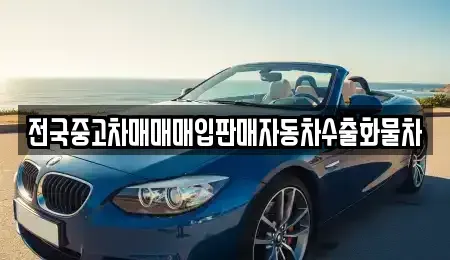 강원특별자치도 원주시 명륜동 중고차 전문 전국중고차매매매입판매자동차수출화물차