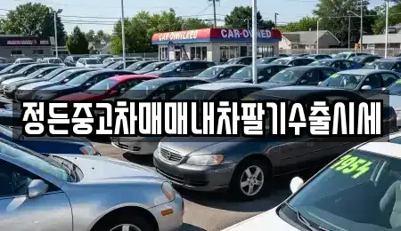 강원특별자치도 원주시 명륜동 중고차 전문 정든중고차매매내차팔기수출시세