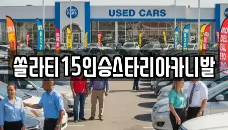 강원특별자치도 춘천시 죽림동 렌트카 전문 쏠라티15인승스타리아카니발