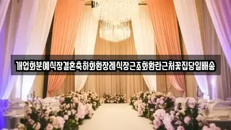 웨딩드레스 전문 안성시 사곡동 1곳