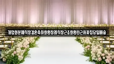 경기 양주시 회정동 웨딩메이크업전문 4 업체 정보